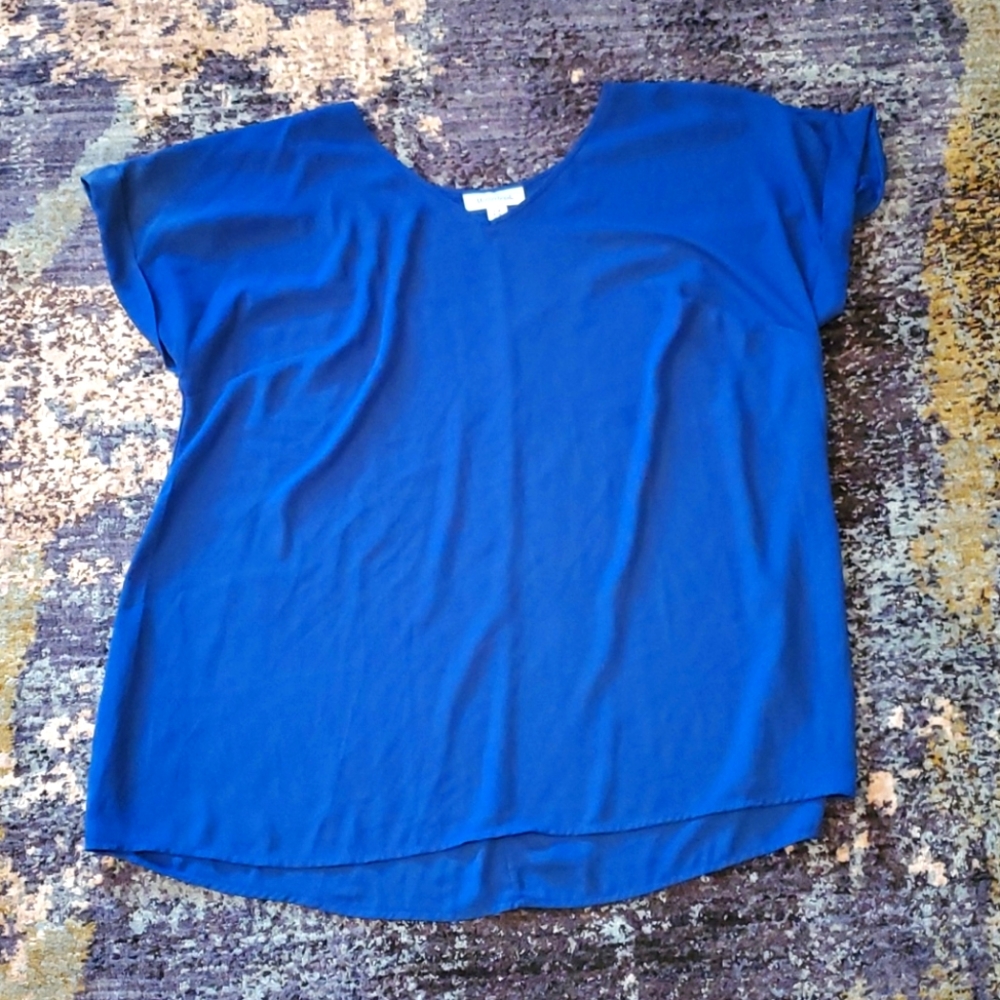 Motherhood blue blouse size 2x